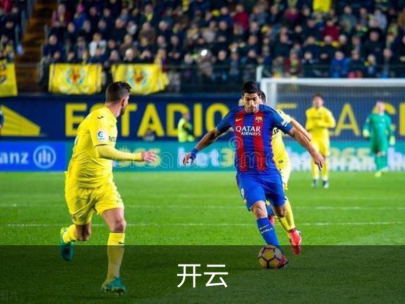 走进开云